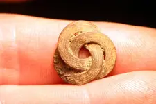 NH FINDS 05-06 007.webp