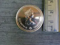 IMG-20110619-00010.webp