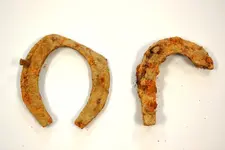 horseshoes.webp