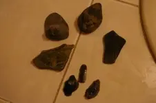 IMGP6008.webp