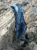 IMG00560-20110608-1934.webp