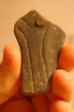 IMGP6020.webp
