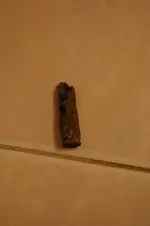 IMGP6022.webp