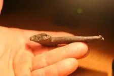 NH FINDS 05-28 013.webp