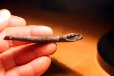 NH FINDS 05-28 015.webp