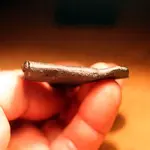 NH FINDS 05-28 016.webp
