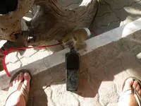 DSCN7063.webp