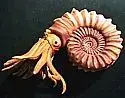 toy_ammonite2_sm.webp