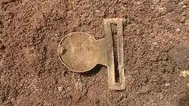 M1190005.webp