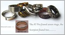 2011 rings.webp
