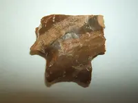 DSCF1658.webp