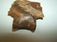 DSCF1659.webp