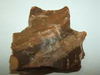 DSCF1661.webp