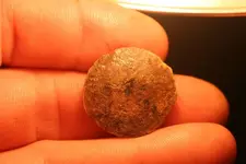 NH FINDS 05-12 014.webp