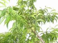 100_0607.webp