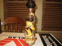 Thrift Store Finds 004.webp