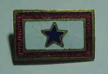 patent pin enamelled.webp