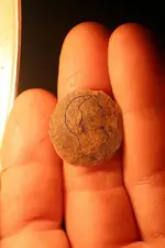 NH FINDS 05-12 001[1].webp