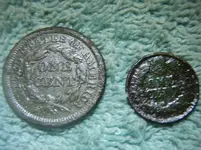 P5290083sx.webp