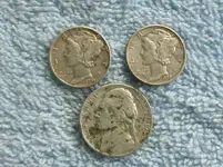 Silver Fronts.webp