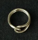 ring.webp ring.webp