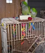 000_1351.webp