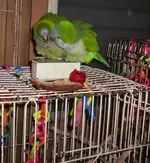 000_1352.webp