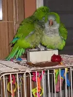 000_1353.webp