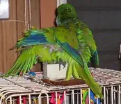 000_1357.webp