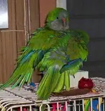 000_1356.webp