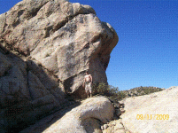 untitled.gif