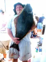 41 HALIBUT.webp
