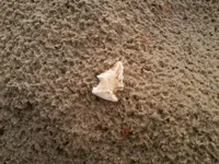 ,mvbljblkj.webp