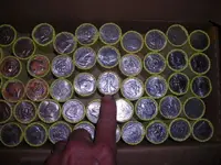 DSCN3947.webp