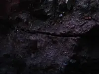BOTTLE DIG 007.webp