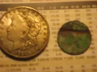 IMG_2110button2.webp