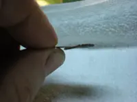 DSCN1821.webp