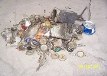 June Trash.webp