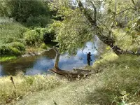 91df673e5086.webp