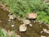 riverrockA2.webp