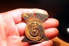NH FINDS 06-09 014.webp