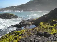 rock 033.webp