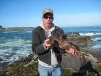 rock 030.webp