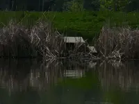 water table.webp
