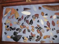 P5010299.webp