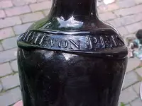 von pein shoulder.webp
