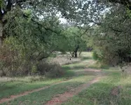 entrance.webp