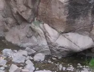 waterlevelcloseup1.webp
