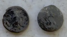 Eagle Buttons.webp