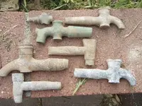 spigs.webp
